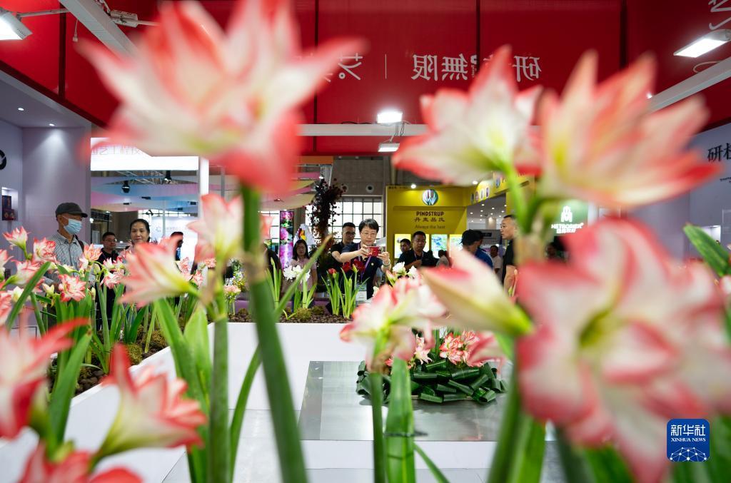 捕鱼赢了10万